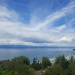 Le Cosy Center Apartmán Thonon-les-Bains