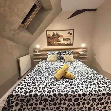 Le Cosy Center Thonon-les-Bains
