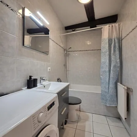 Apartament Le Cosy Center *