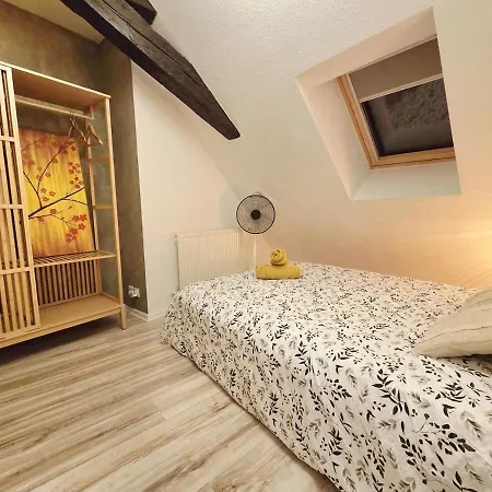 Le Cosy Center Thonon-les-Bains