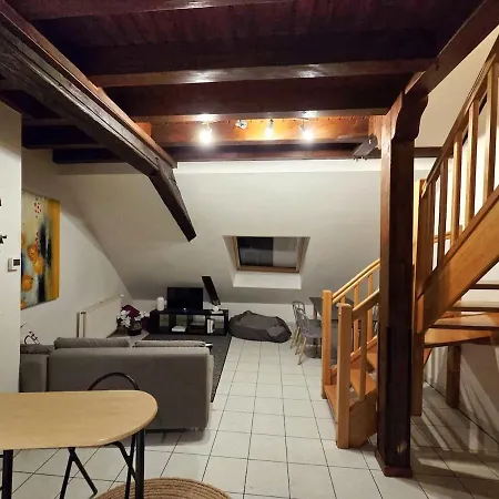 Apartament Le Cosy Center