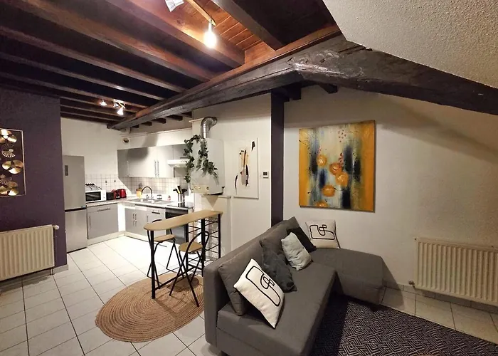 Apartamento Le Cosy Center Thonon-les-Bains