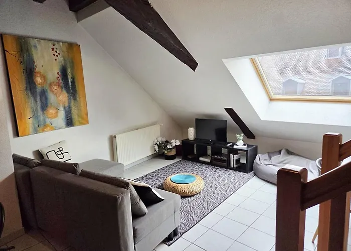 Le Cosy Center *